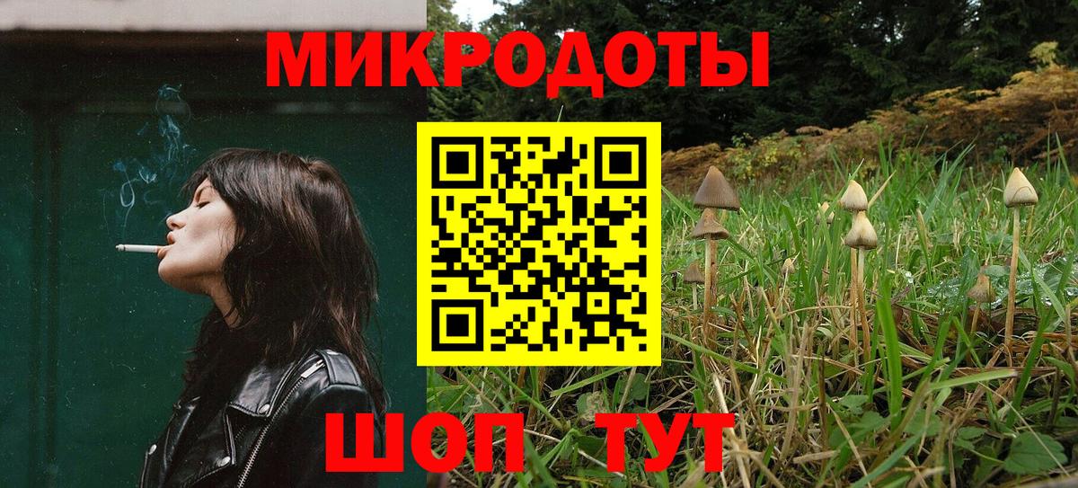 Псилоцибиновые грибы Cubensis Верхняя Салда