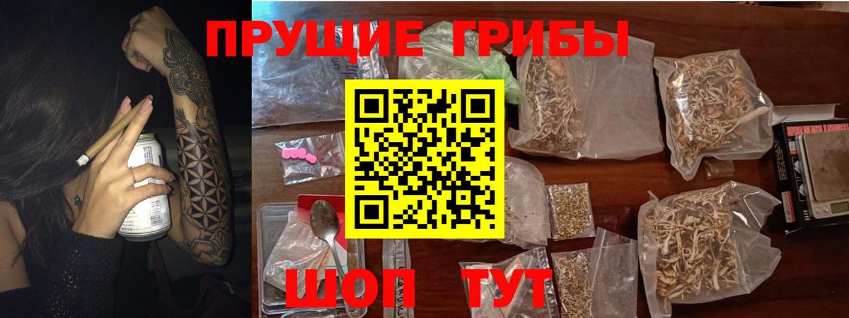 Верхняя Салда  где купить наркотик  Вход с VPN  Псилоцибиновые грибы Magic Shrooms  Псилоцибиновые грибы Psilocybe 